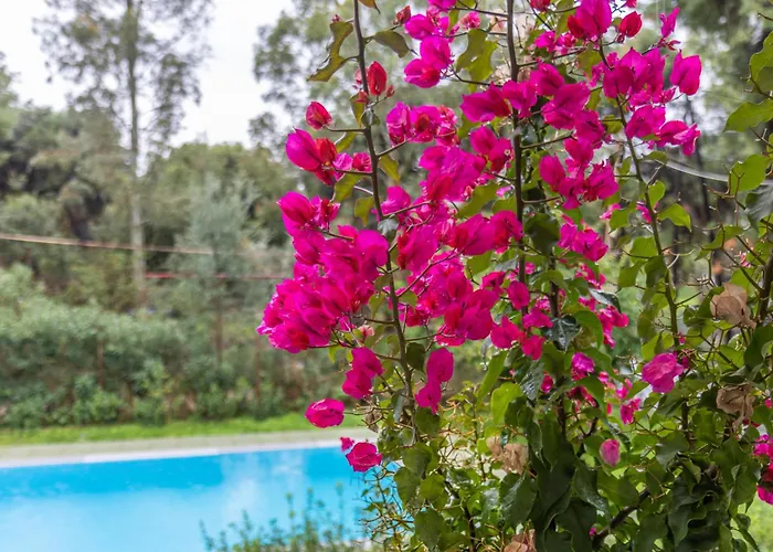 Marvelous, Secluded Villa W/ 3 Bedroom , Pool & Garden, Kavos